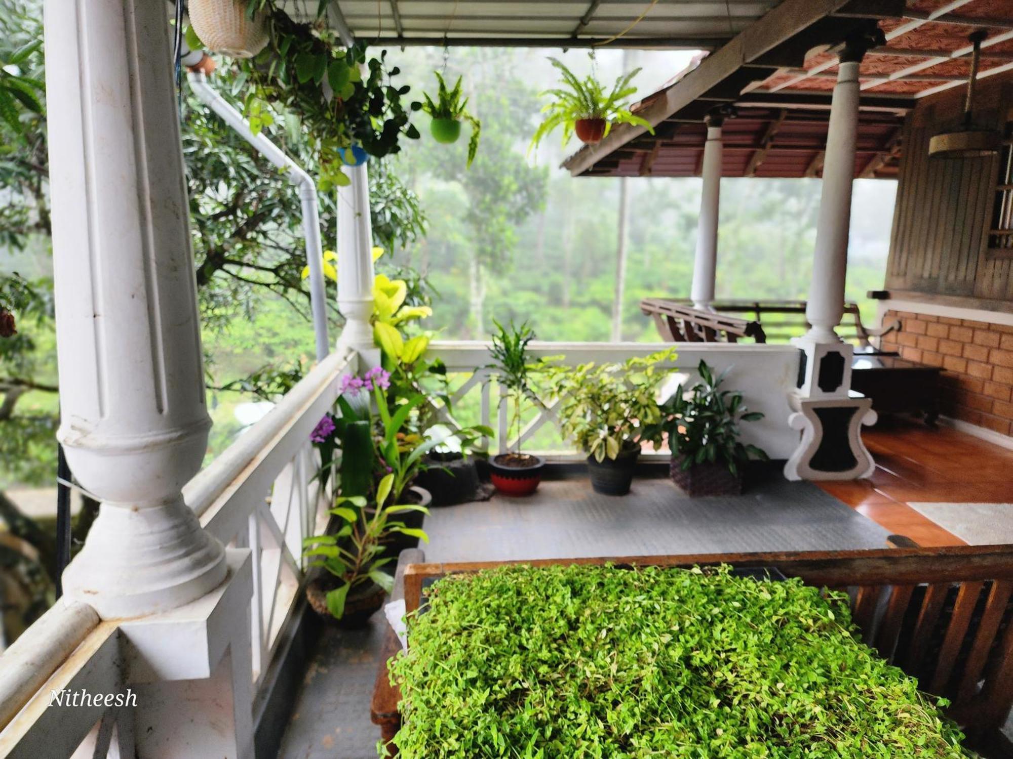 Kairali Palace Home Stay 테카디 외부 사진